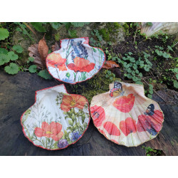 Coquilles saint-jacques