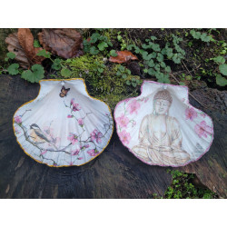 Coquilles saint-jacques