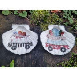 Coquilles saint-jacques