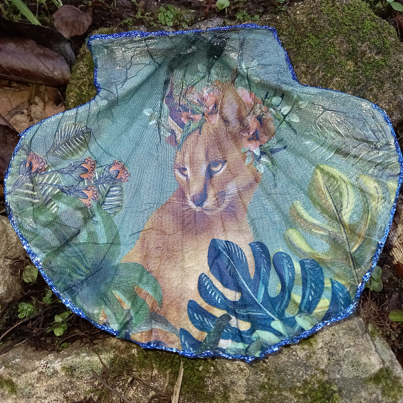 Coquilles saint-jacques