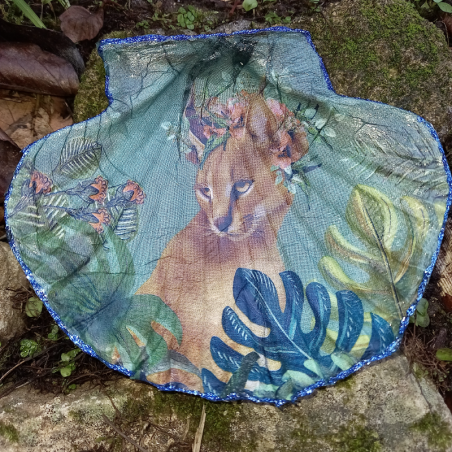 Coquilles saint-jacques